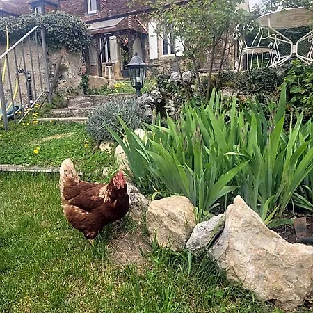 Le Clos Des Etoiles Adult Only Bed & Breakfast Le Bugue