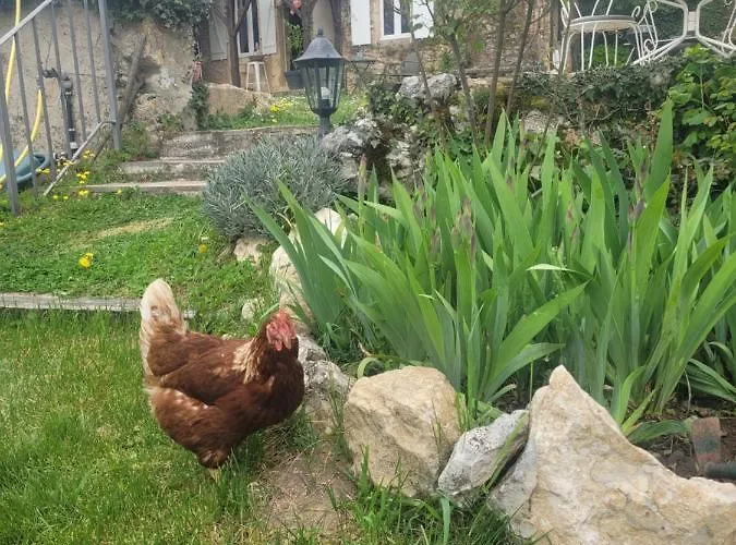 Bed & Breakfast Le Clos Des Etoiles Le Bugue